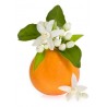 Apelsinų žiedų kvapnusis aliejus (10 ml)