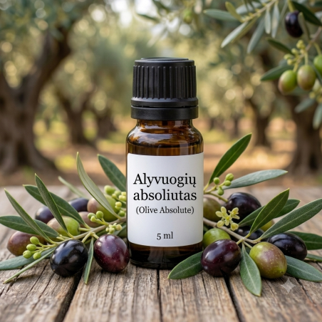 Alyvuogių Absoliutas (Olive Absolute) | Natūralus Aromatas Perfumerijai