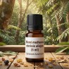 Elemi medienos eterinis aliejus (5 ml) | 100% Natūralus