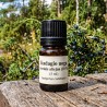 Kadagio uogų eterinis aliejus 10% (5 ml) | Juniperus communis