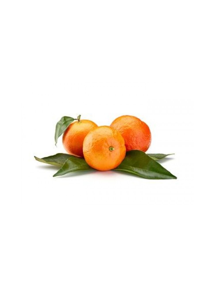 Mandarinų eterinis aliejus (10 ml)